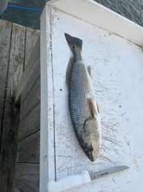 Father and son fishing trip! 