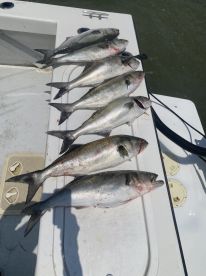 Great Day on the Water