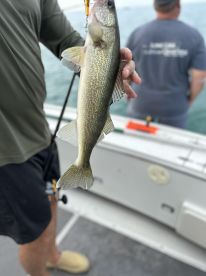Angler holding a freshly caught Walleye while fishing on a boat, showcasing the vibrant colors of the fish.
