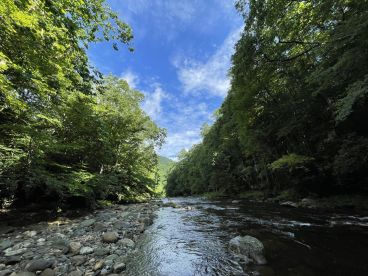 A serene river scene surrounded by lush greenery, showcasing a tranquil fishing environment.