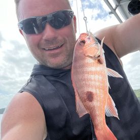 Better than we expected. Half day