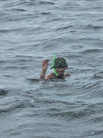 A snorkeler in the water holding a shell, showcasing a marine adventure.