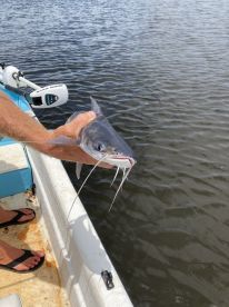 A good afternoon on the water