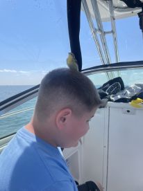 A young boy sitting inside a boat with a small bird perched on his head, enjoying a day on the water.