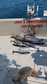 The Salmon\u2019s caught salmon