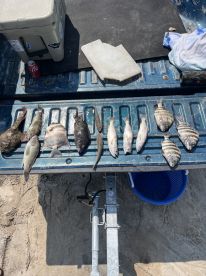 Great trip clean boat Kid friendly 