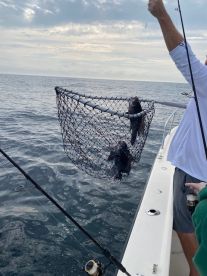 Fin Chasers Point Pleasant - Not just a top sportfishing outfit - Family friendly charters too!