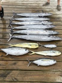 A variety of fish including King Mackerel and Mahi Mahi displayed on a dock after a successful fishing trip.