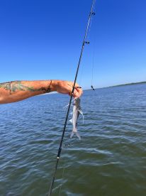 An angler reeling in a small catfish while fishing in calm waters, showcasing the excitement of the catch.