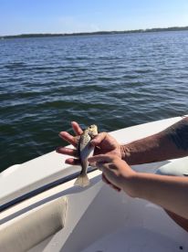 A young angler proudly displaying a small fish while fishing on a boat, showcasing a fun day on the water.