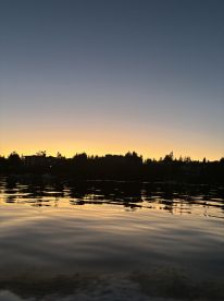 A serene sunset over calm waters, capturing the tranquil beauty of the fishing environment.