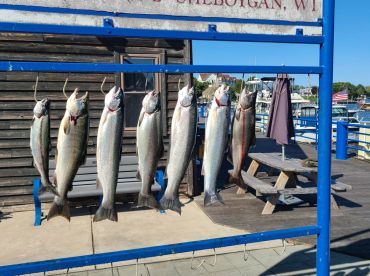 7 fish afternoon trip