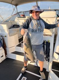 Weather conditions sucked -east wind 