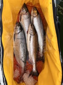 Awesome fishing trip