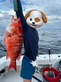 Dylan and Moose make a great team!