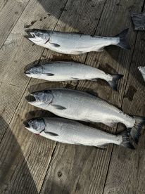 Eugene knows his ceaft