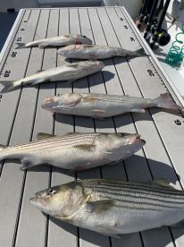 October fishing trip