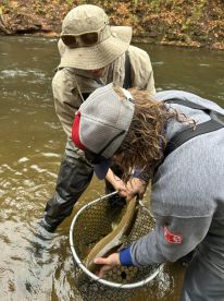 Awesome guide / Incredible experience