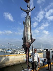 Biggest Marlin I\u2019ve ever caught!! 