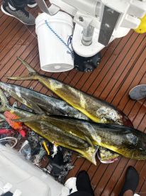 Great experience and service from the captain and his son