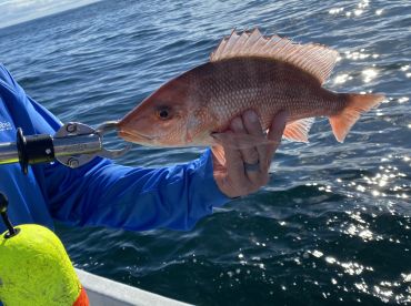 Great for experienced & beginner anglers