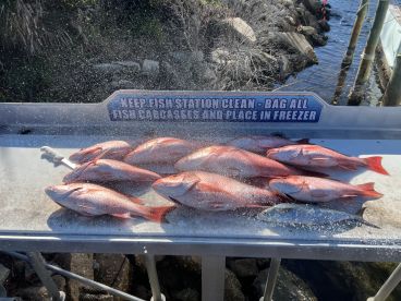 Unforgettable Fishing Adventure with Cody & Mike