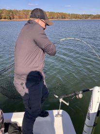 Professional and thorough!