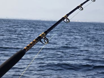 Fishing rod positioned over the water, showcasing the excitement of deep-sea fishing in a scenic ocean environment.