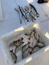 Wonderful staff and experience