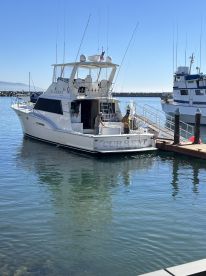 The exterior of the fishing charter boat 'The Current' docked at Dana Point, showcasing its spacious design and fishing amenities.