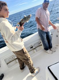 Made you feel right at home