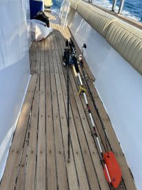 Great Day on the Sea