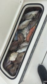 10\/10 definitely recommend fishing with Anthony!