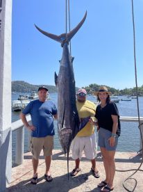 Three anglers proudly displaying a large Marlin caught during a fishing trip, with a scenic marina backdrop.