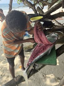 A local fisherman skillfully filleting a freshly caught fish on a beachside cleaning station, with the ocean in the background.