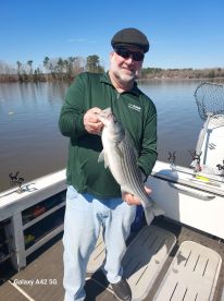 Captain Chip was great!