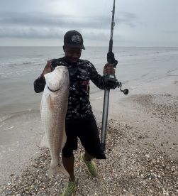 Young angler proudly holding a large Redfish on the beach, showcasing a successful catch during a coastal fishing trip.