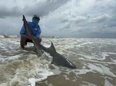 Angler kneeling in the surf, proudly displaying a large shark caught during a beach fishing expedition.