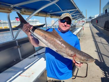 An angler proudly displaying a large Cobia caught during a fishing trip, with a cruise ship in the background at the dock.