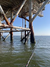 Amazing Fishing Adventure with Capt. Chris!