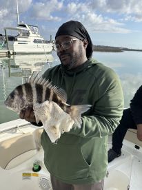 Caught 50 sheepshead 