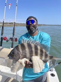 Caught 50 sheepshead 