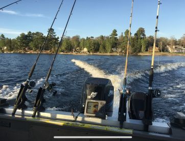 Looking for the fish