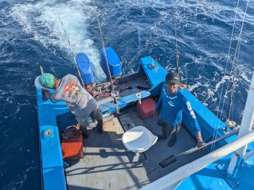 Great value for money