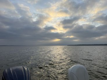 Terrible fishing excellent captain!!