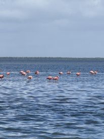 Great trip with Dominic