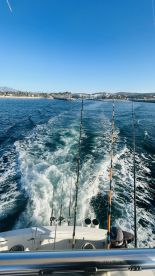 View from the back of a fishing boat, showcasing fishing rods and the wake created as the boat moves through the water, with a coastal landscape in the background.