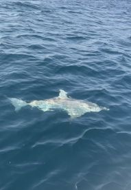 Wonderful experience! 