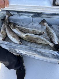 Captain Tim is a legend