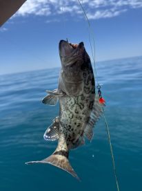 Epic day on the water 